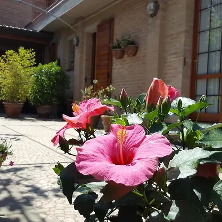 فندق مبيت وإفطار Ensileva بورتو غاريبالدي