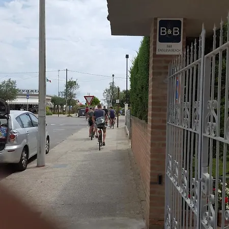 Ensileva