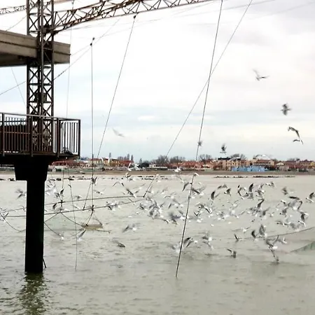 Ensileva Porto Garibaldi