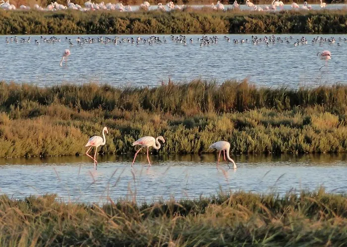 Ensileva לינה וארוחת בוקר 4*