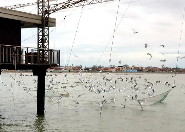 Ensileva بورتو غاريبالدي