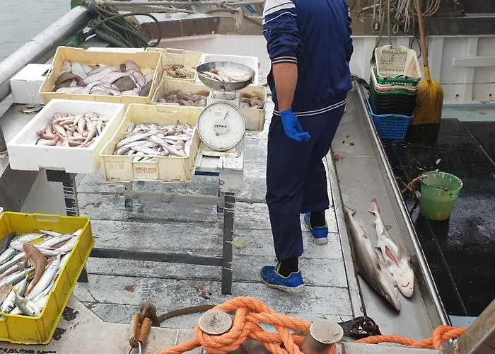 فندق مبيت وإفطار Ensileva بورتو غاريبالدي